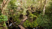Beng Mealea Temple & Kompong Khleang Floating Village