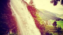 GUIDED TOUR: Queen of the Fjords - mini-tour from Bergen, 6 hours