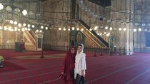 Layover Tour to Egyptian Museum and Old Cairo