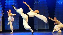 Beijing Evening Tour Of Kung Fu Show With Private Transfer