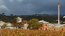 Penfolds Magill Estate Iconic Experience