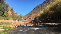  Full day tour Ourika Valley And Atlas Mountains 