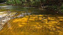 Trekking tour to Kbal Spean and Banteay Srei from Siem Reap