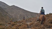 Andean Horse Ride Yerba Loca Sanctuary - Private tour from Santiago