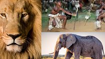 Lesedi Cultural Village and Lion Park tour