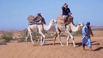 Agadir Desert Safari Day Trip with Lunch and Agadir City Tour