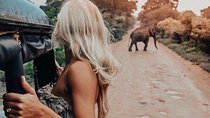 Highlights Of Dambulla & Kaudulla National Park Day Tour From Colombo