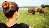 Udawalawe National Park Safari With Transfers From Colombo