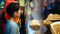 Egyptian Art at the Louvre Private Family Tour