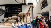 London Natural History Museum Dinosaur Discovery Family Tour