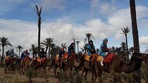  Experience Spa Hammam Massage and Camel tour