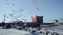 Day Trip and Excursion to Essaouira
