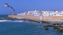 Private Trip to Essaouira up To 6 People
