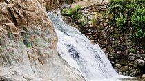  Atlas Mountains Ourika valley and camel Ride