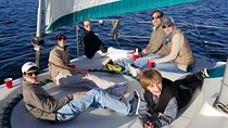 Catamaran Sailing Cruise on San Diego Bay for up to 6 Guests