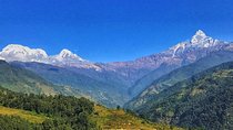Kathmandu,Chitwan,Pokhara with Dhampus Sarangkot Trek