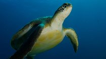 PADI Advanced Open Water Diver Course (AOWD) - 2 days