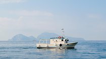 Fishing and Tourism in Capri
