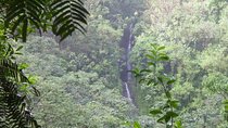 Rainforest Waterfall Trail and Shuttle Service 