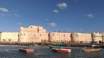 Day Tour To Alexandria City Includes Lunch From Cairo
