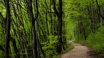 Perfect bike tour around Brasov
