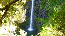 Private Guided Walk Lagoa do Vento