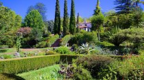 Private Halfday Flower Palheiro Gardens Tour