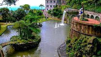 Private Halfday Madeira Garden Tour