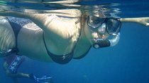 Los Cabos Snorkeling Tour to Chileno Bay and Santa Maria Cove