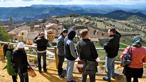 Priorat Wineries Tour with Wine Tastings & Lunch from Barcelona 