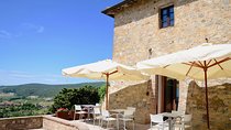 Private Day Trip to Siena and San Gimignano from Rome