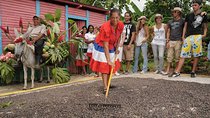 Dominican Republic Countryside Safari Tour from Punta Cana