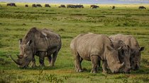 Lake Nakuru National Park Full Day