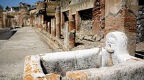 Pompeii Ruins: Day Trip from Naples with skip the line ticket