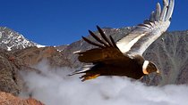 Half Day Private Trip to Valle Nevado with Cheese and Wine Carbon Neutral trip