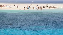 Experience Snorkeling Tour at Utopia Island