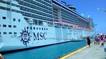 Cruise Ship Shore Excursions: for any cruise lines.