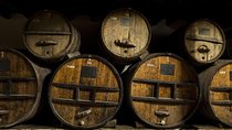 Undurraga Founder's Private Tour