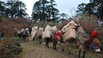 Druk Path Trek in Pristine Bhutan