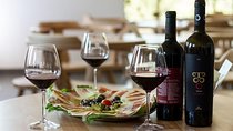 SOUL HEALING Wine Tour Montenegro - BEST PRIVATE TOUR 