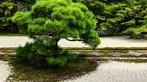 Kyoto: Zen Garden, Zen Mind (Private)
