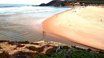 National Park West Coast Half Day Tour from Lagos
