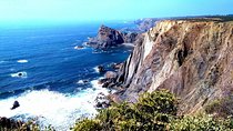 Private Tour West Coast Full Day