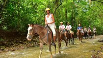 Horseback + Natural Pool Adventure in Jaco Beach and Los Suenos 