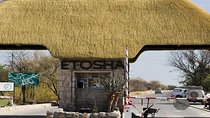 7 Days-Desert adventure, Swakopmund & Etosha Lodging Tour