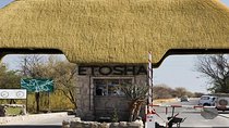 7 Day Namibia Desert, Swakopmund and Etosha National Park Camping