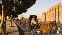 Luxor City Tour By Horse Carriage From West Bank