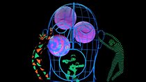 Skip the Line: WOW Show Black Light Theater in Prague Ticket