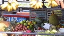Private Mekong Delta tour to Cai Be – Tan Phong island full day