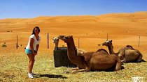 Wahiba Sands And Wadi Bani Khalid